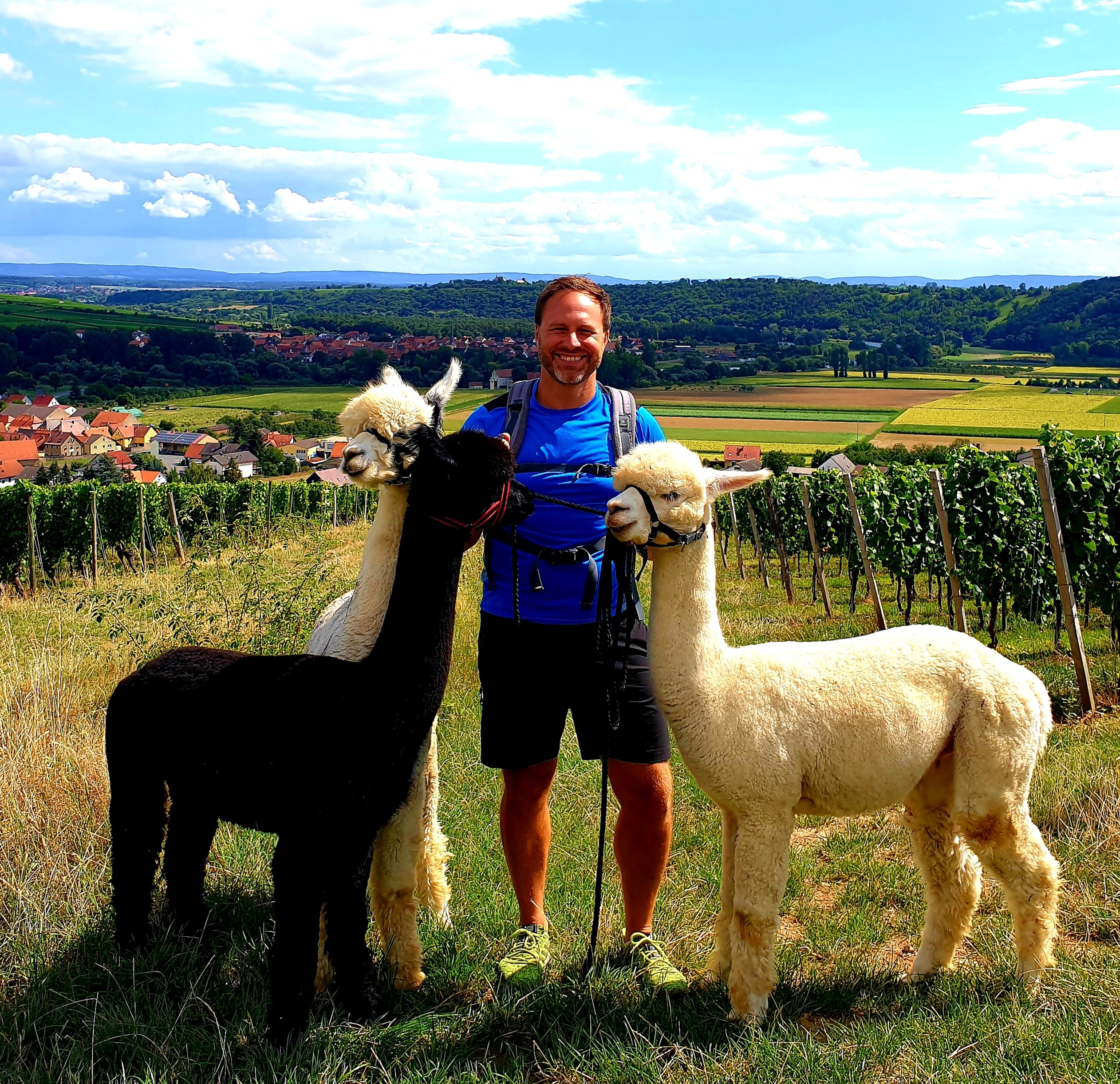 Alpaka-Wanderung für 2 Personen