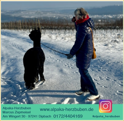 Alpaka-Wanderung für 2 Personen inkl. Winzer-Glühwein/Punsch
