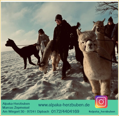 Alpaka-Wanderung für 2 Personen inkl. Winzer-Glühwein/Punsch