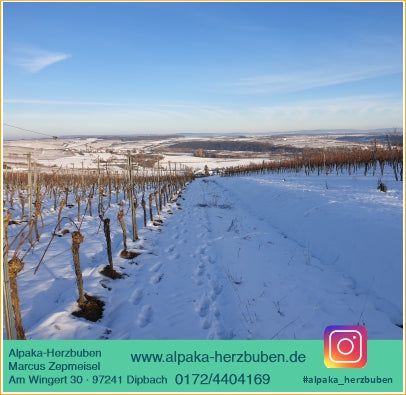 Alpaka-Wanderung für 2 Personen inkl. Winzer-Glühwein/Punsch