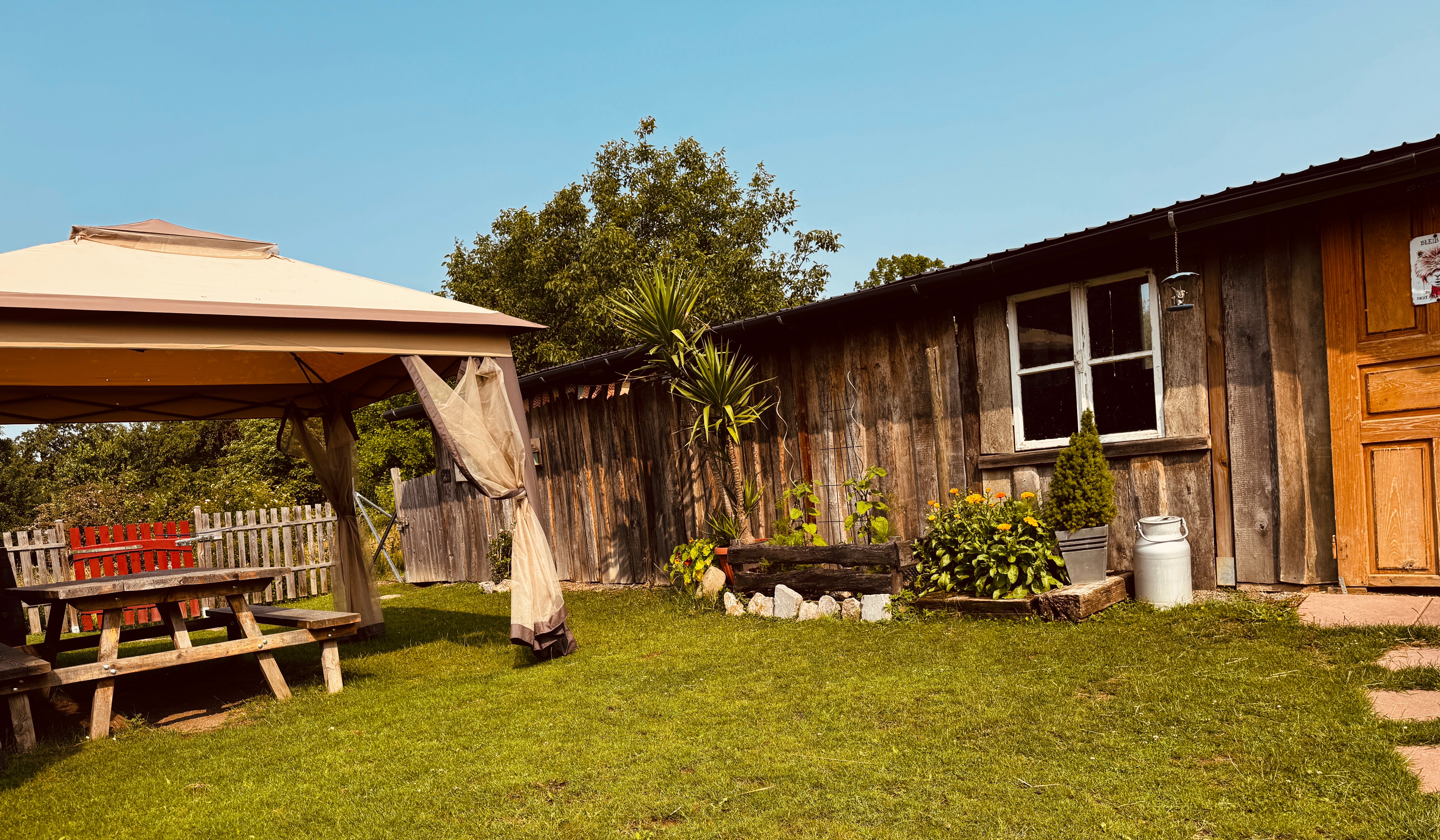 Alpaka-Wanderung für 1 Person