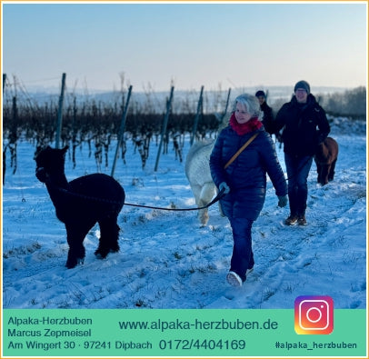 Alpaka-Wanderung für 2 Personen inkl. Winzer-Glühwein/Punsch
