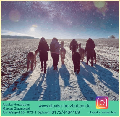 Alpaka-Wanderung für 2 Personen inkl. Winzer-Glühwein/Punsch